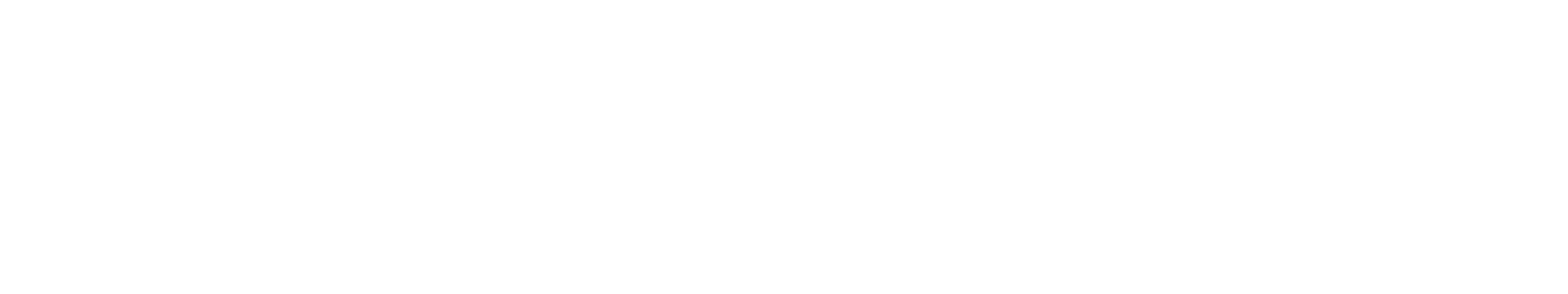 GPSoverIP GmbH